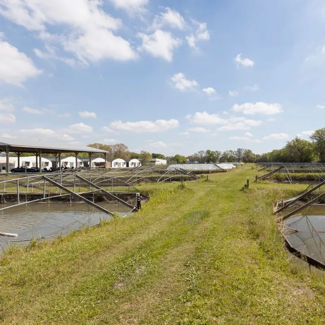 thumbnail for publication: Fertilization of Fresh Water Fish Ponds